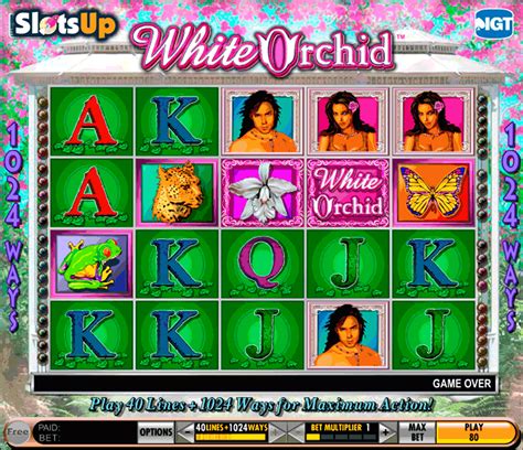 white orchid video slot game|White Orchid Slots: Play Free Slot Machine Game by .